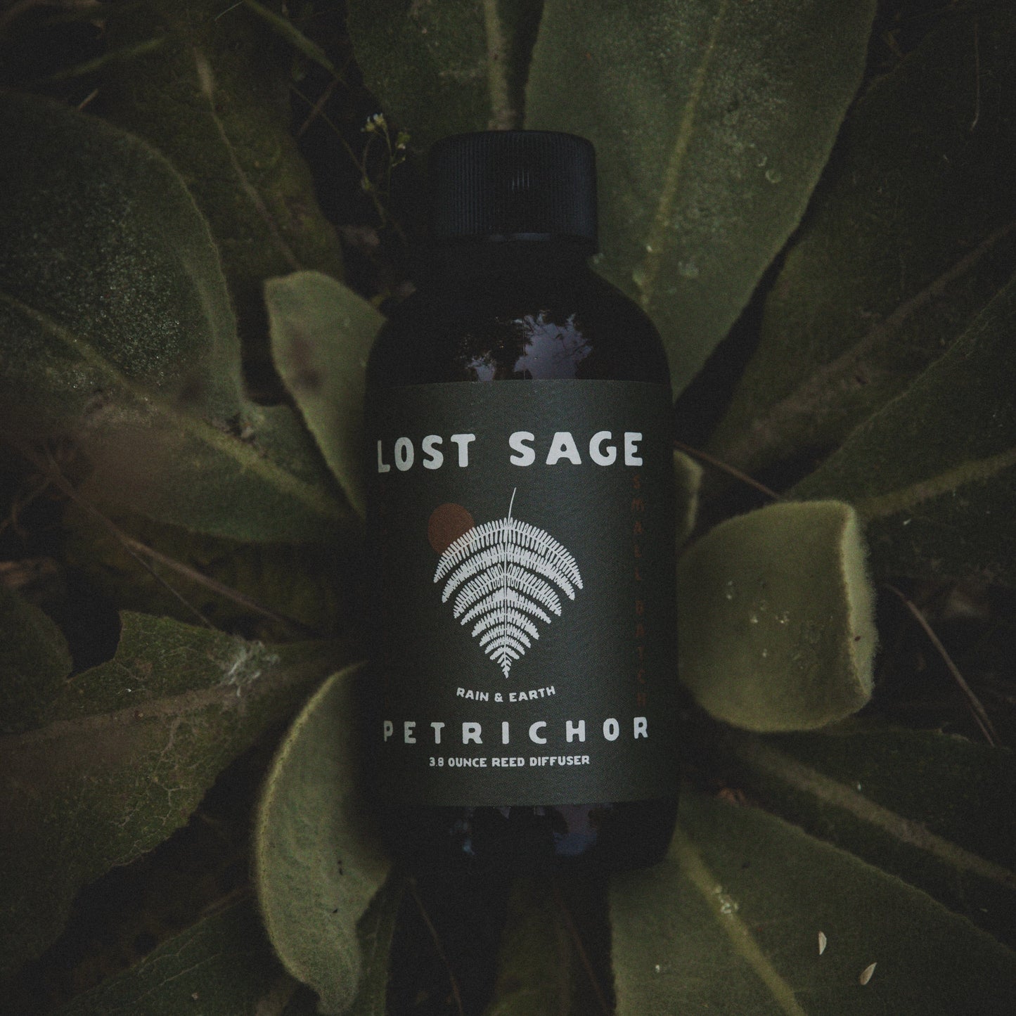 Petrichor Reed Diffuser | Rain & Earth Home Fragrance