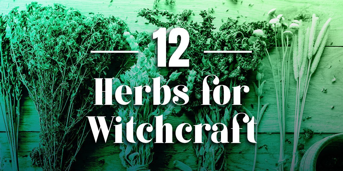 12 Witches Sacred Herbs