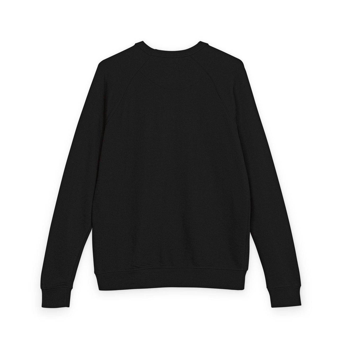 Gemini Zodiac Raglan Sweatshirt – Ethereal Twins Artwork