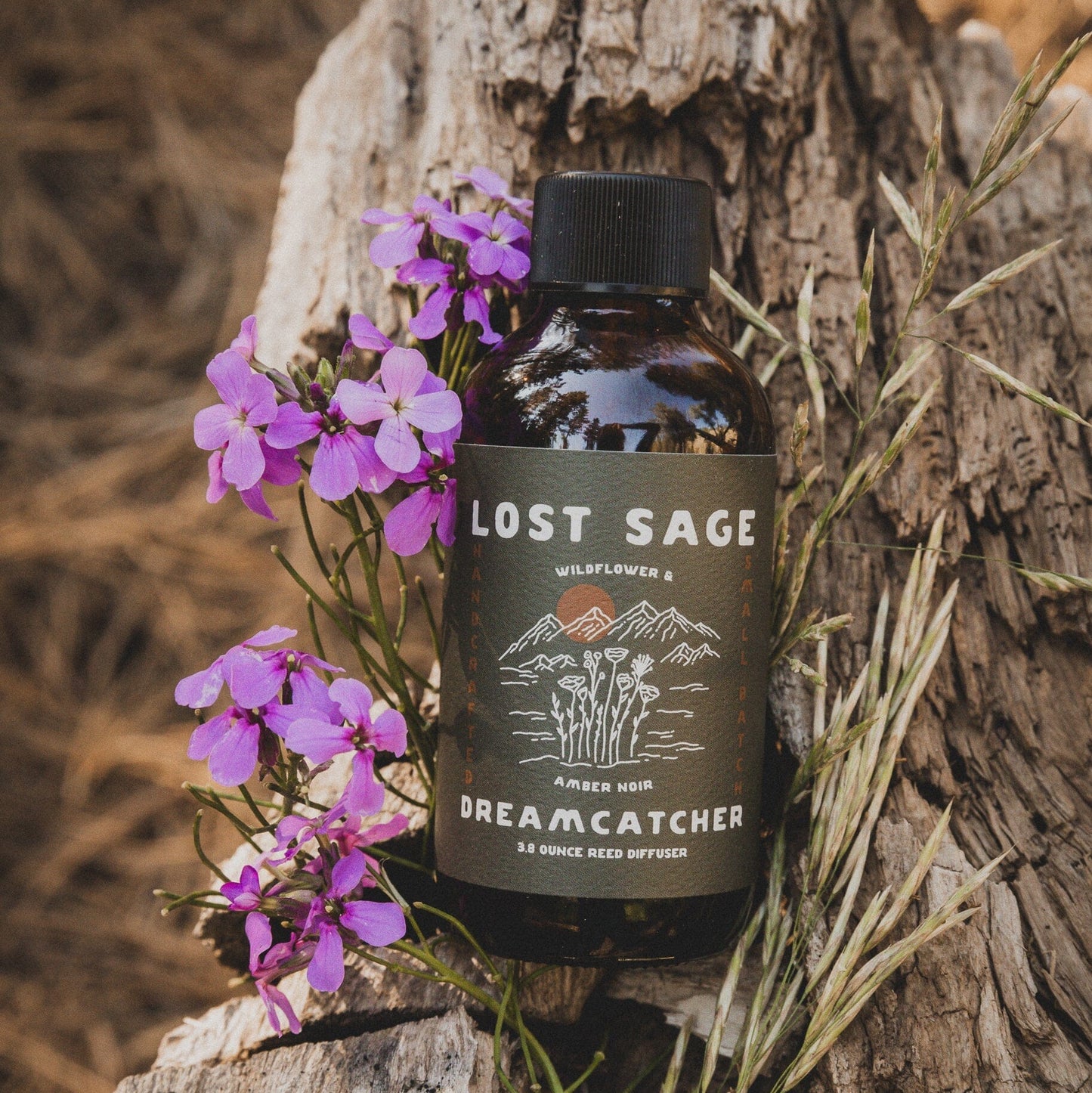 Dreamcatcher Reed Diffuser | Wildflower & Amber Noir
