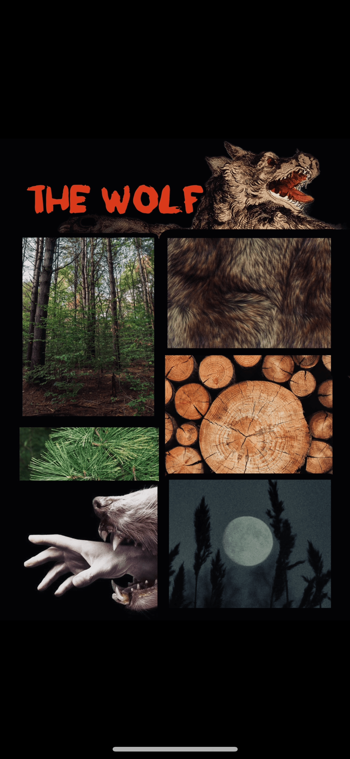 The Wolf Perfume Oil Roller | Forest & Musk