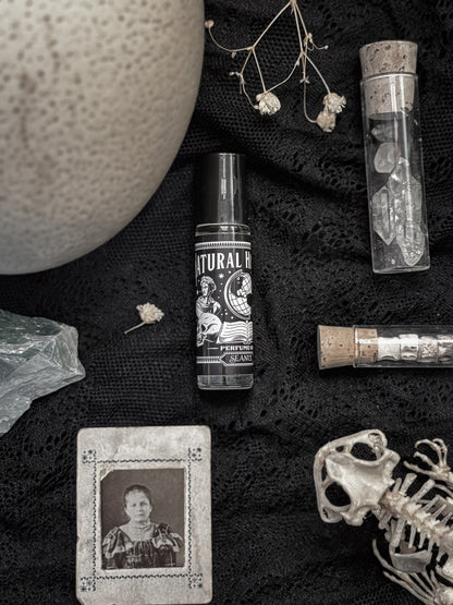 Natural History Perfume Oil Roller | Old Books & Black Tea