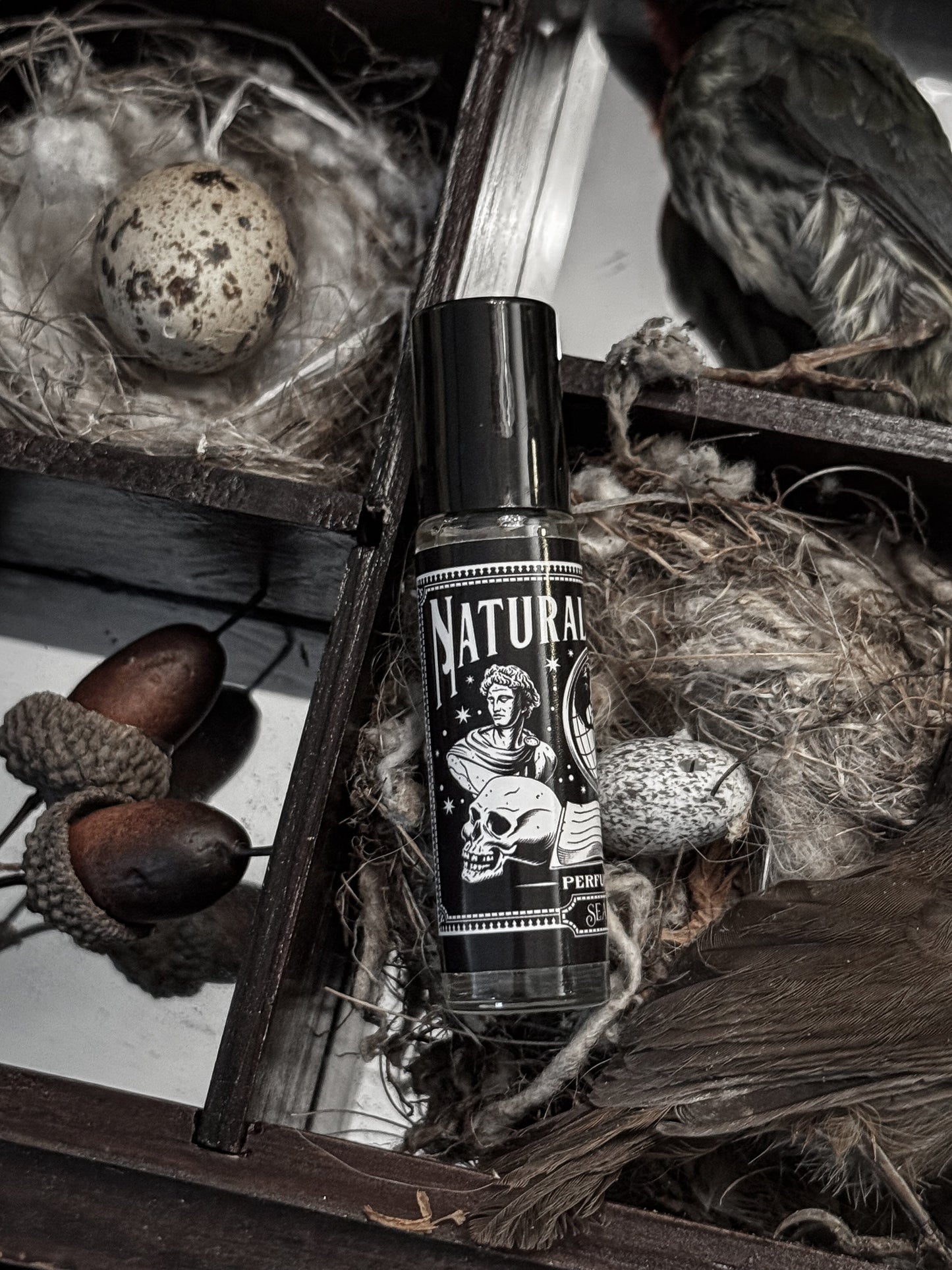 Natural History Perfume Oil Roller | Old Books & Black Tea