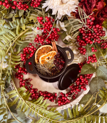 Winter Solstice Simmer Pot - Spirit Nest