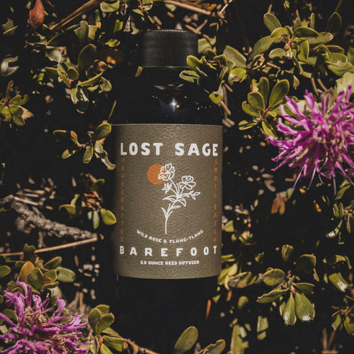 Barefoot Reed Diffuser | Wild Rose & Ylang-Ylang
