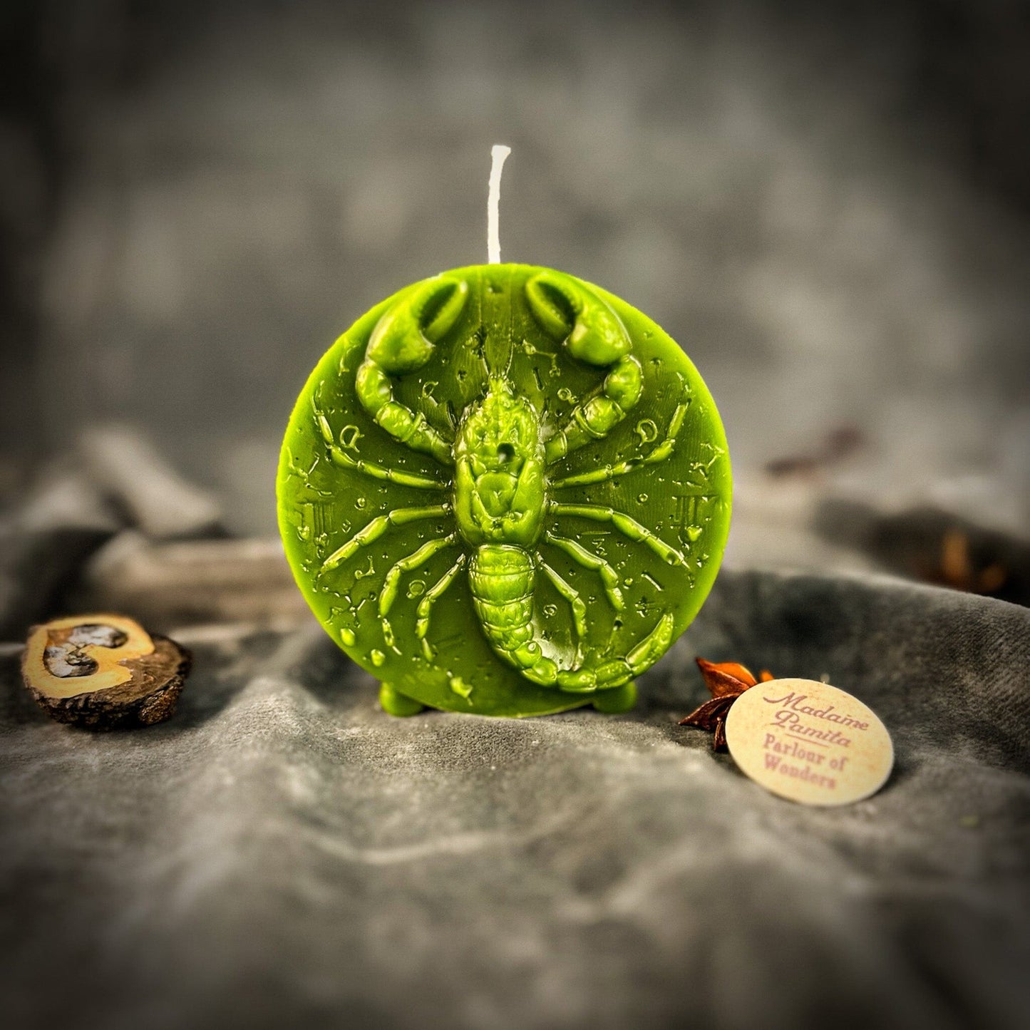 Beeswax Scorpio Zodiac Spell Candle – Transformation, Power & Intuition