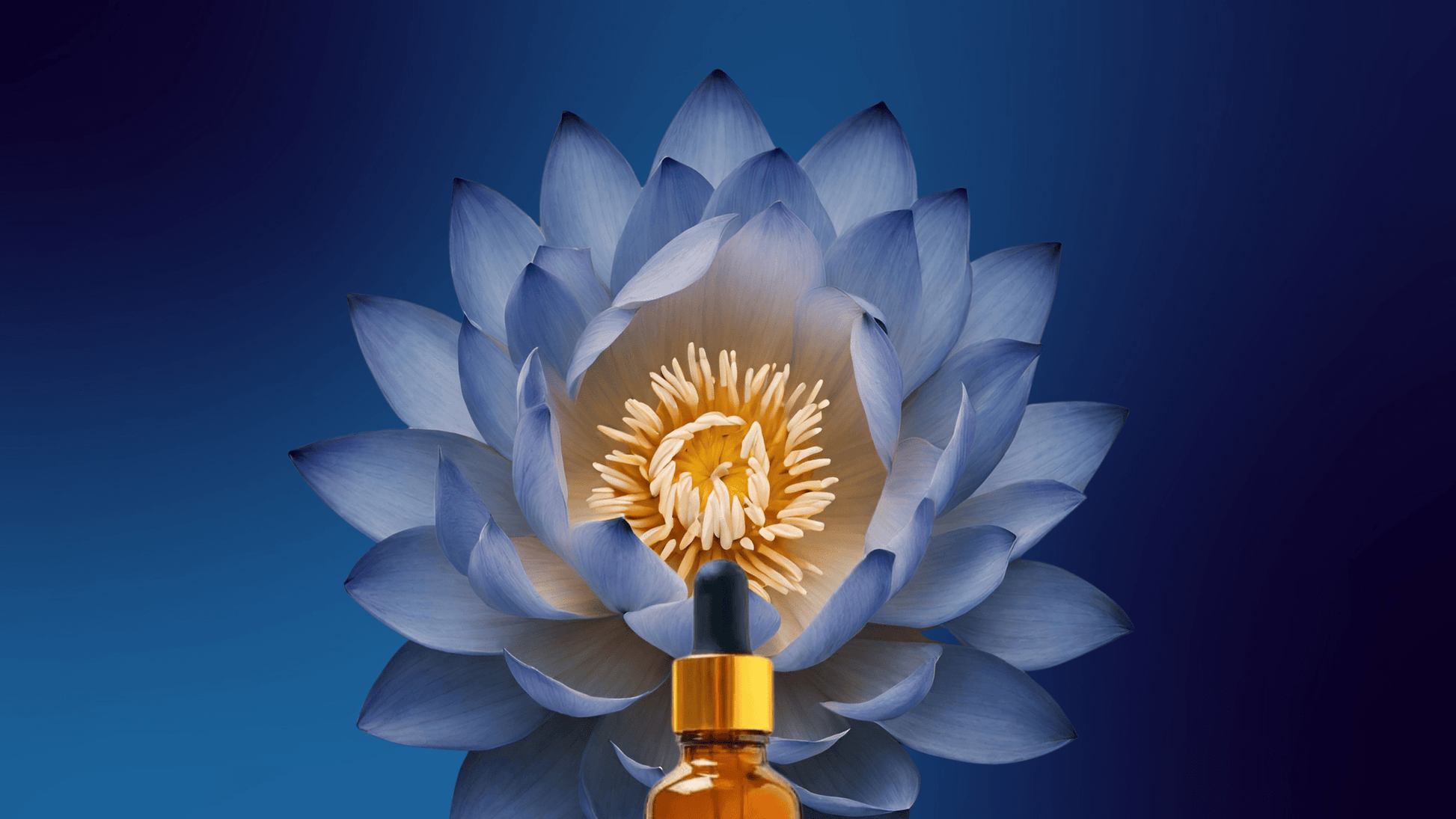 Lucid ✦ Blue Lotus Drops – Gentle Calm & Clarity - Spirit Nest