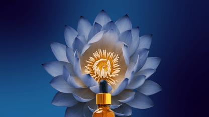 Lucid ✦ Blue Lotus Drops – Gentle Calm & Clarity - Spirit Nest