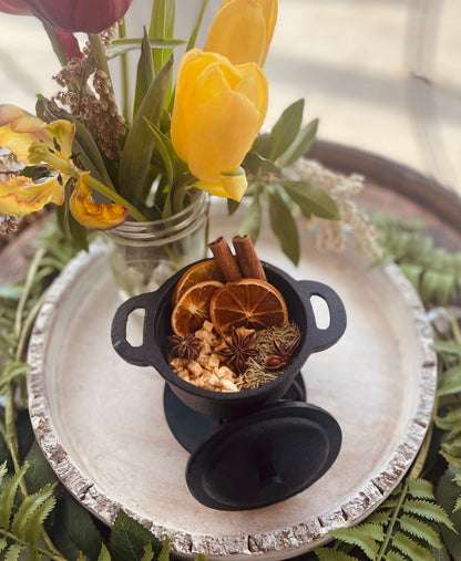 Cozy Home Simmer Pot Blend - Spirit Nest