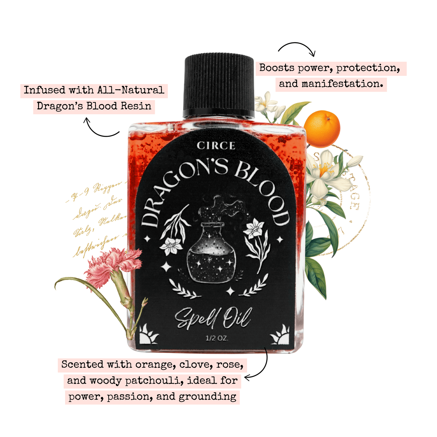 Dragon's Blood | Spell Oil 1/2 oz - Spirit Nest