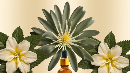 Ecstatic ⟡ Kanna &amp; Damiana Drops – Uplifting Herbal Mood Blend - Spirit Nest