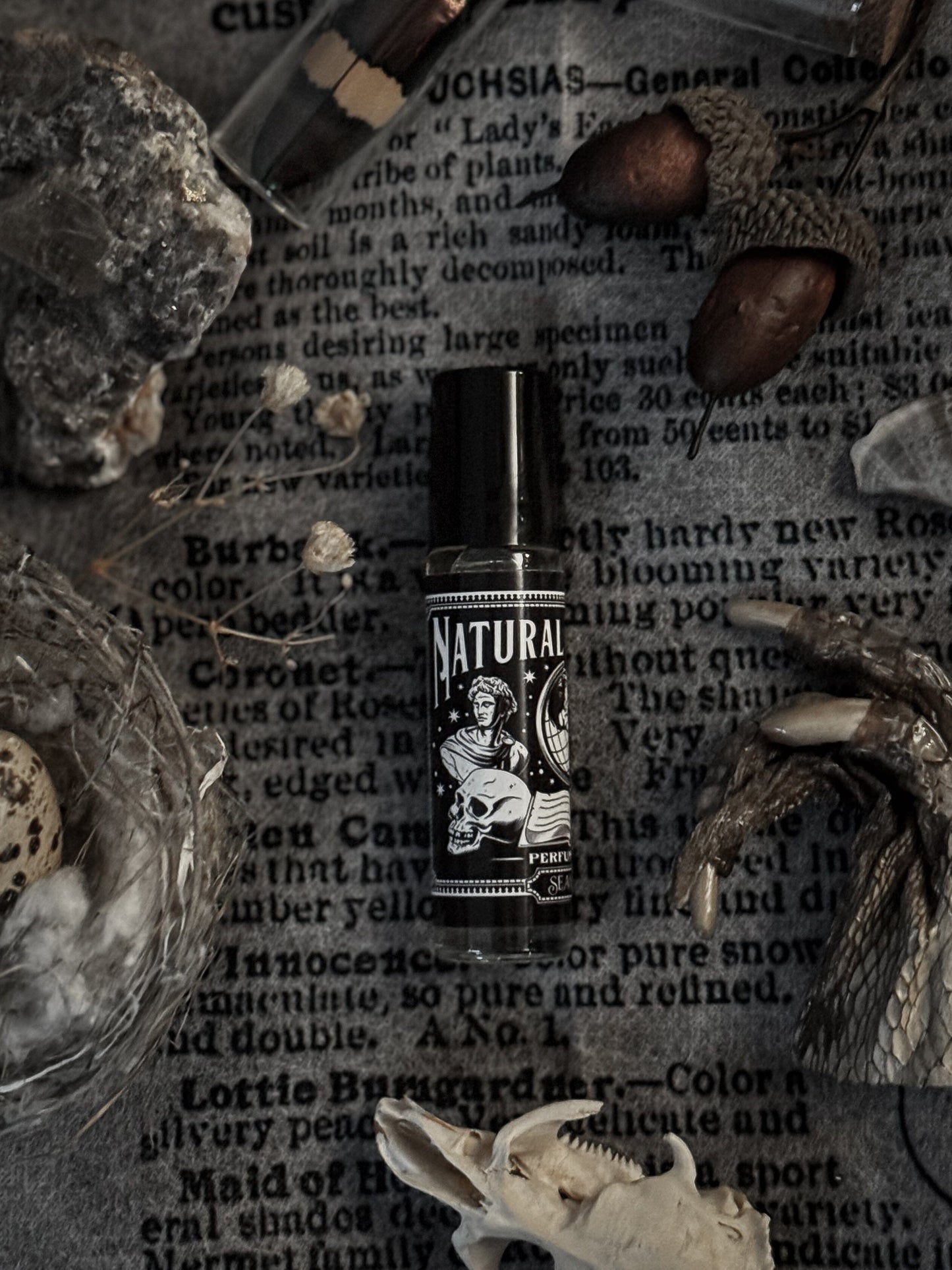 Natural History Perfume Oil Roller | Old Books & Black Tea