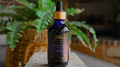 Lucid ✦ Blue Lotus Drops – Gentle Calm & Clarity - Spirit Nest