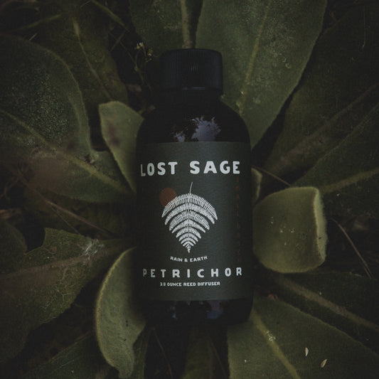 Petrichor Reed Diffuser | Rain & Earth Home Fragrance