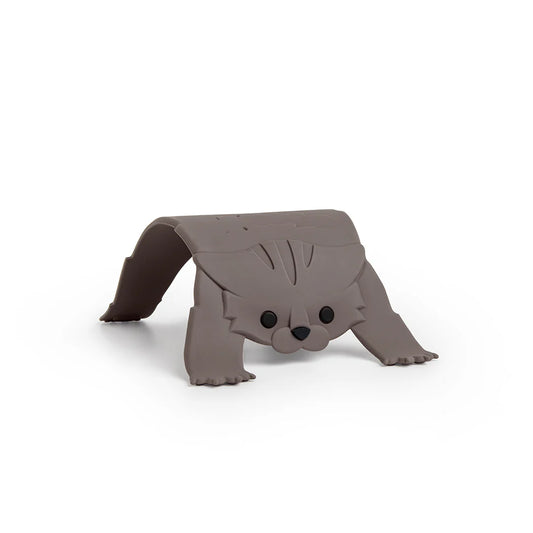 Scaredy Cat - Spirit Nest