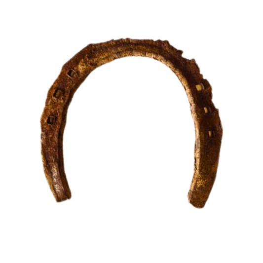 Used Horseshoe