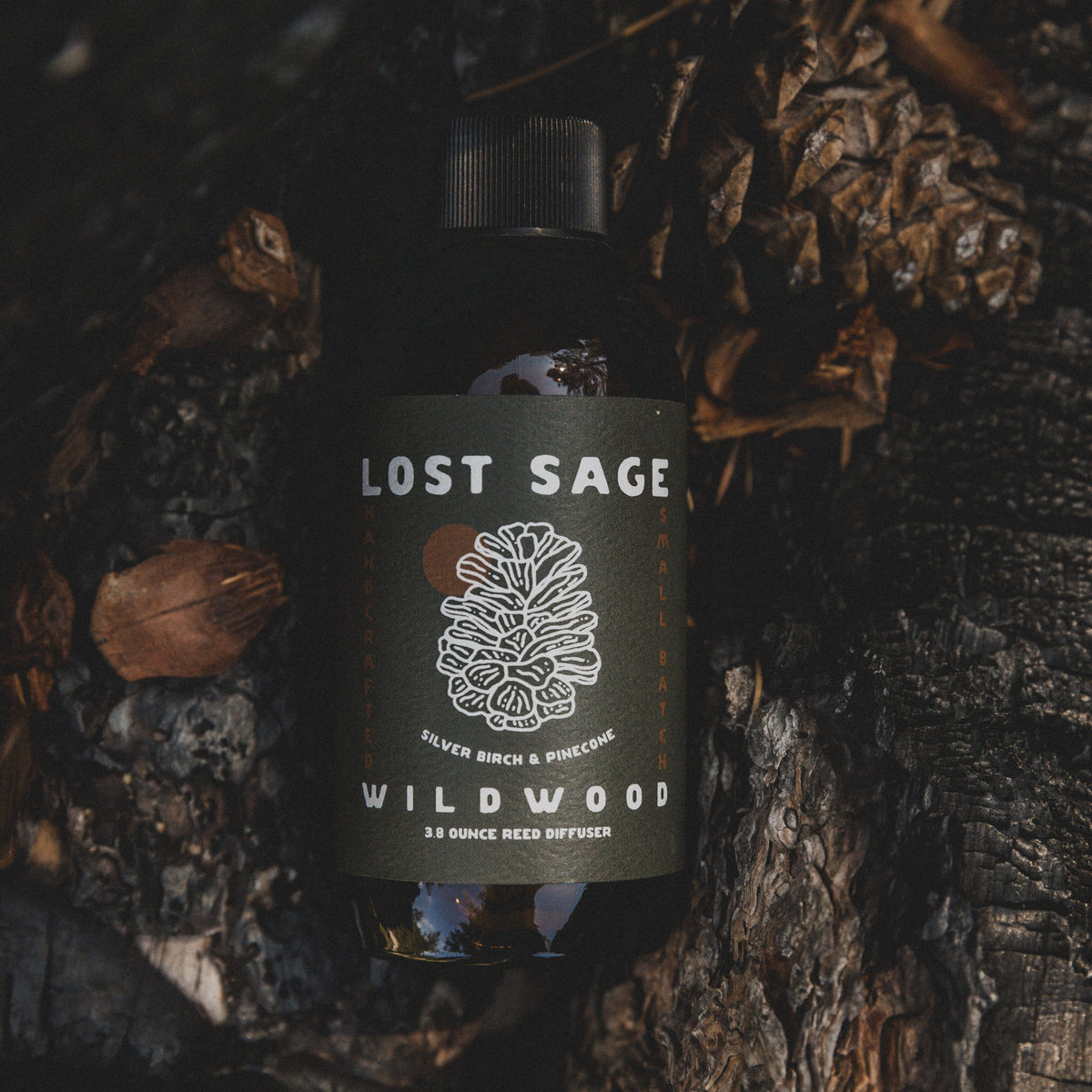 Wildwood Reed Diffuser | Silver Birch & Pinecone