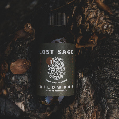 Wildwood Reed Diffuser | Silver Birch & Pinecone