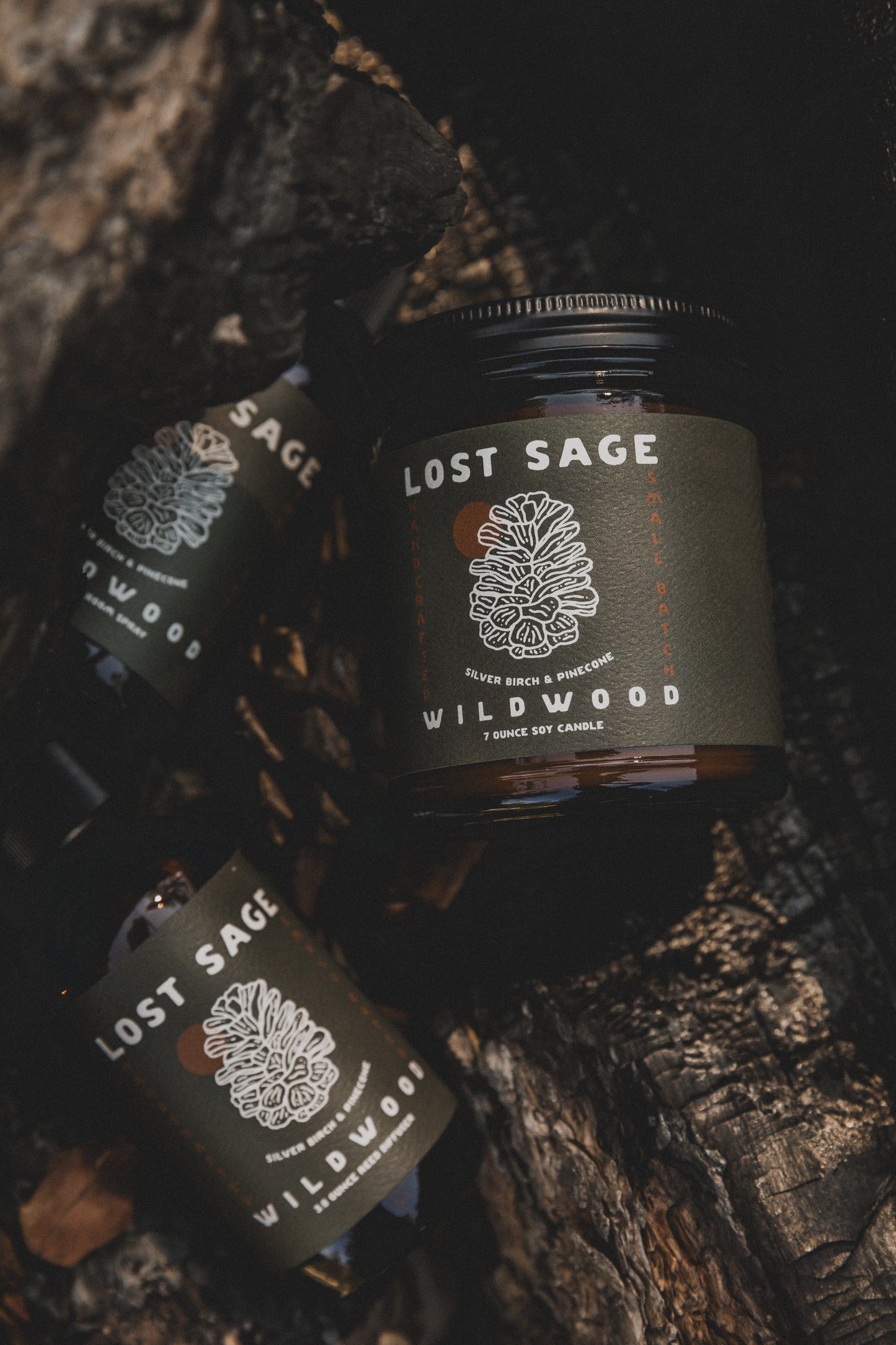 Wildwood Soy Candle | Silver Birch & Pine Cone