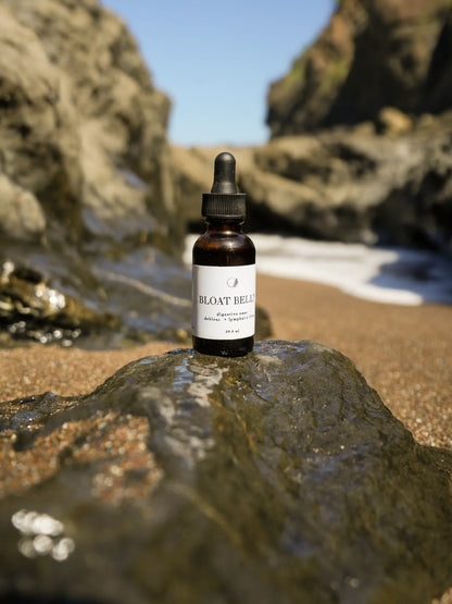 Bloat Belly – Botanical Wellness Tincture