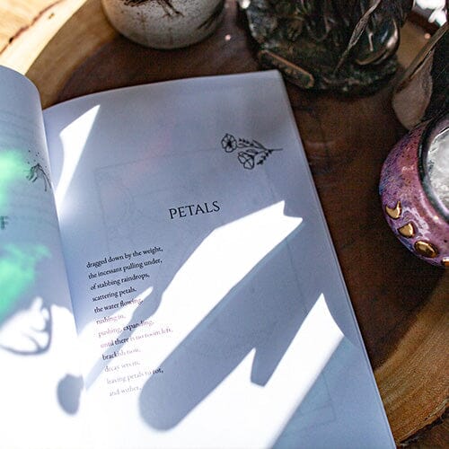 Conversations with the Moon: A Collection of Poems on Grief, Inspiration, and Hope