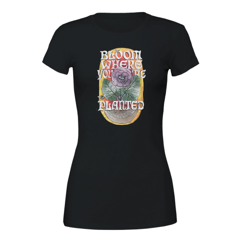 dfd6dbb9-efeb-4106-b5ba-dd75866dd885