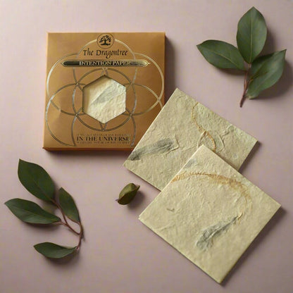 Intention Paper - Spirit Nest