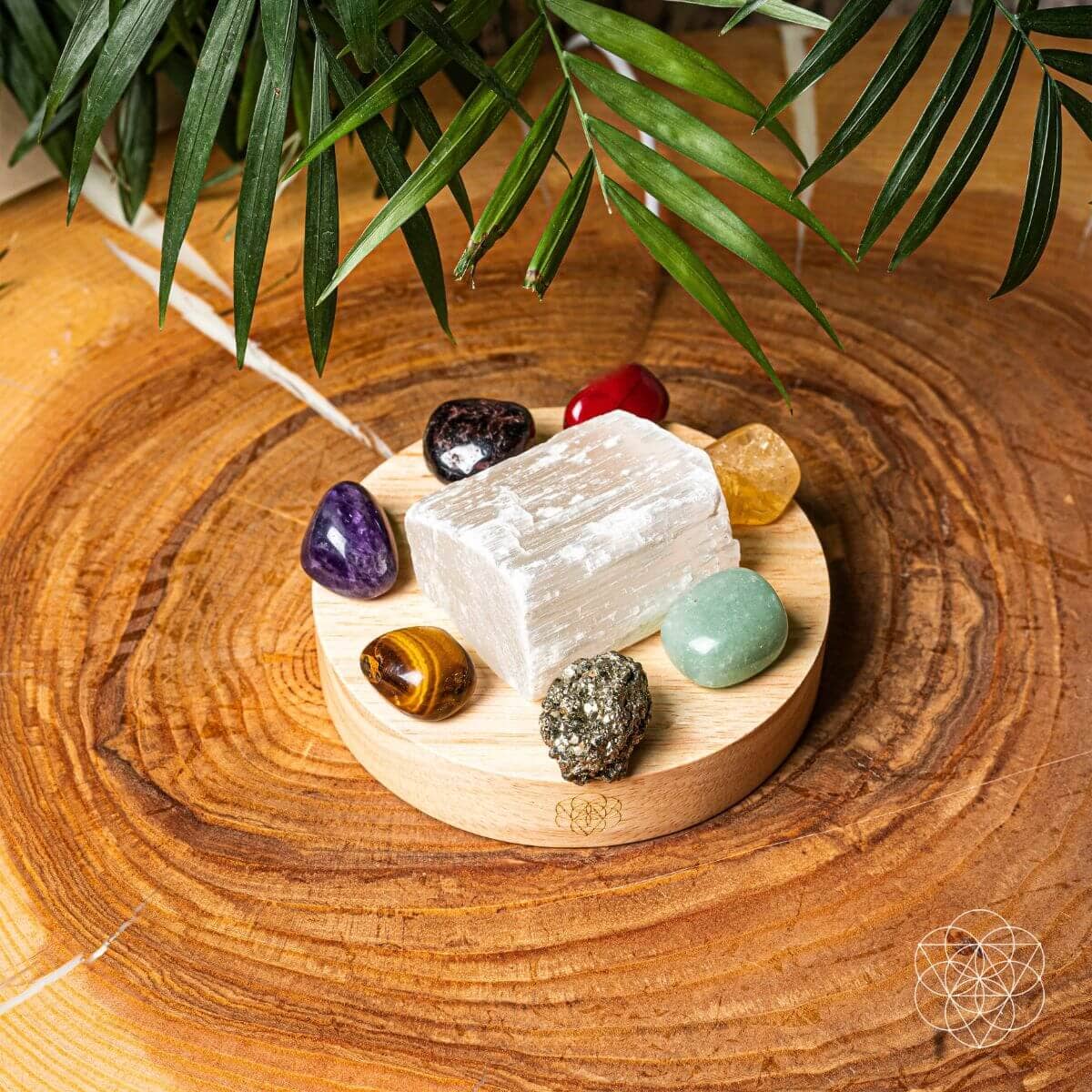 Money-Magnet Lamp – Crystal Light for Abundance & Focus - Spirit Nest