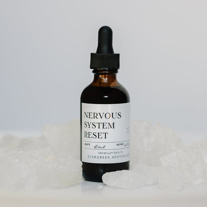 Nervous System Reset Tincture – Calm & Stress Support Formula
