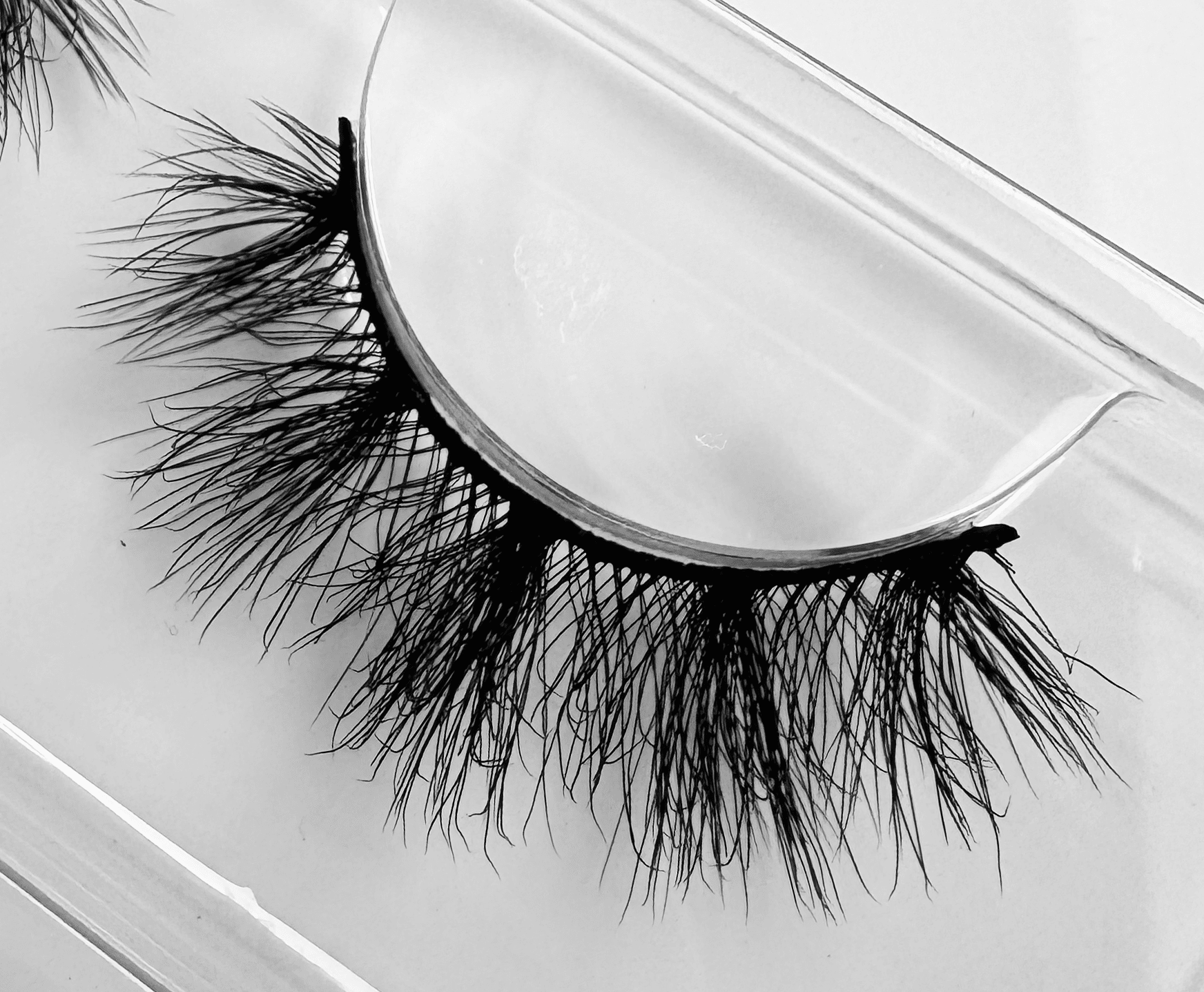 Spell - Faux Mink Lashes - Spirit Nest