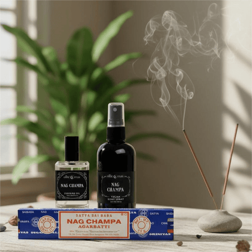 Nag Champa Bundle