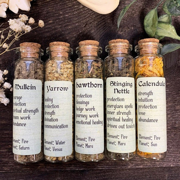Green Witch Set of 5 Herbs - Bottled Witchcraft, Magickal, Spell and Apothecary Herbs