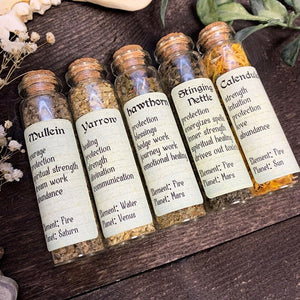 Green Witch Set of 5 Herbs - Bottled Witchcraft, Magickal, Spell and Apothecary Herbs