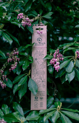 All Natural Incense: Hummingbird - with Ylang Ylang, Citrus & Peppermint